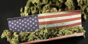 US Cannabis Market Would Reach $41 Billion By 2028 If Legalised Country-Wide: Barclays