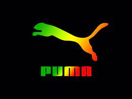 Boycott In China And Rising Input Cost To Hit Its Profit Growth In 2022, Warns Puma