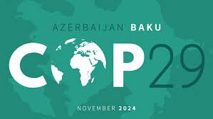 Navigating COP29: A Mixed Bag of Climate Finance, Carbon Markets, and Fossil Fuel Divides