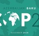 Navigating COP29: A Mixed Bag of Climate Finance, Carbon Markets, and Fossil Fuel Divides