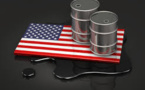 Declining Import Needs Highlighted By U.S. Plan To Sell Oil Reserves