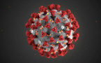 Coronavirus Death Toll 204 In China, US Asks Americans Not To Go China