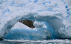 Record high temperature observed in Antarctica