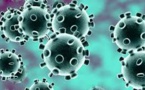 New Study Claims 5 Million Companies Worldwide Could Be Impacted By Coronavirus