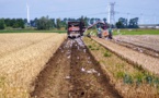 EC sets to lower use of pesticides and fertilizers in EU in 10 years