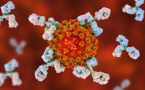 Study Finds Covid-19 Antibodies Fall Rapidly After Recovery, Dashing Hopes Of Herd Immunity