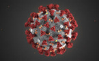 Detection Of New Virus Strain In New Zealand, Australia Suspends Travel Bubble