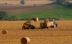 UK government to pay elderly farmers up to $140,000 for retirement