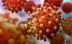 Two Theories Of Coronavirus Origin Acknowledged By US Intelligence Community