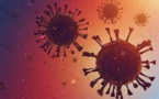 Covid-19 Infections Are On The Rise All Around The World, Prompting Concerns About Testing And Quarantine.