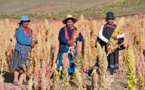 Bolivia’s school meals bolsters the health of its children and its economy