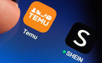 Temu and Shein's Search Ad Dominance Reshaping Retail Marketing Strategies