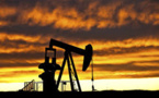 Top Oil Exporting Nations Take up Green Energy due ot Slump in Oil Prices