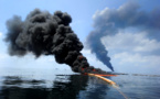 BP to Pay $ 20 Billion for the Oil Spill in the Gulf of Mexico